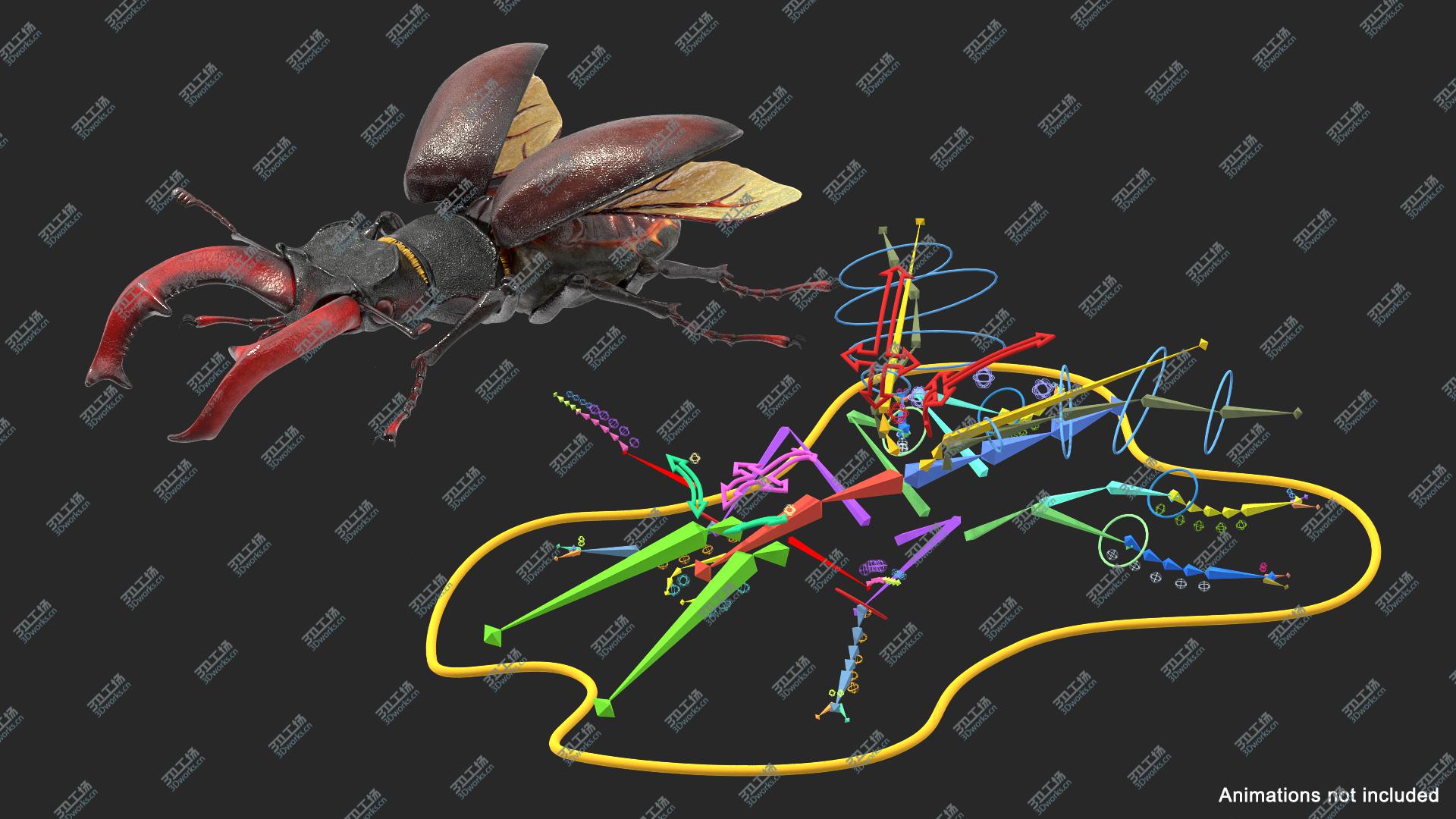 images/goods_img/202104093/3D Lucanus Cervus Stag Beetle Fur Rigged/4.jpg